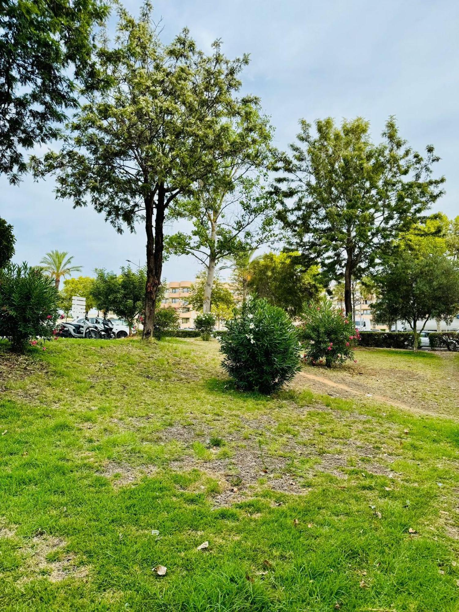 Apartamento T4 Albufeira Zewnętrze zdjęcie